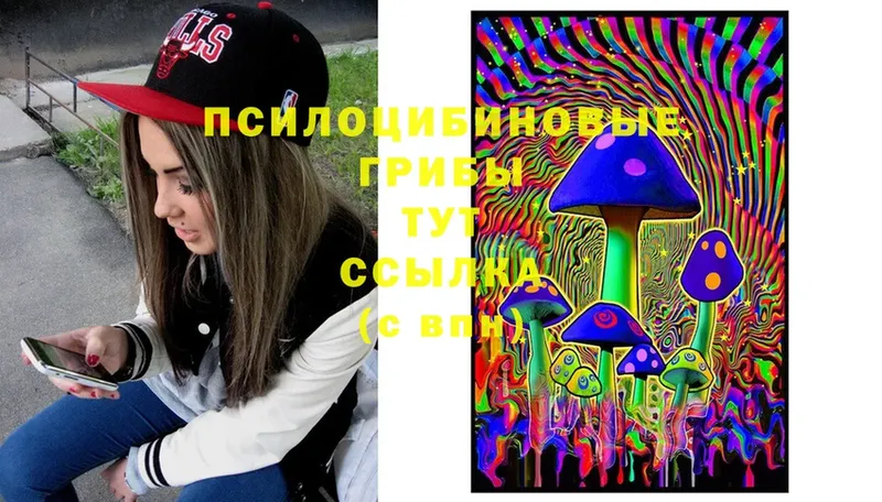 omg ссылка  Новоалександровск  Галлюциногенные грибы Cubensis 